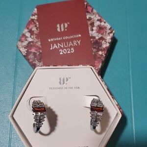 Elegant Silver and Red Crystal Earrings